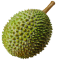 intro-img-003.png